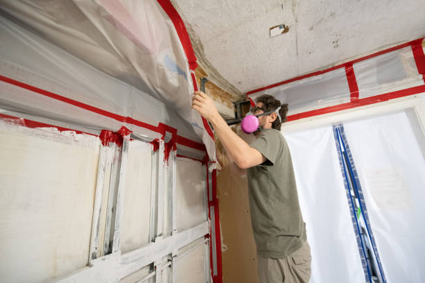 Best Environmental Consulting for Mold Prevention  in Untain Grove, MO